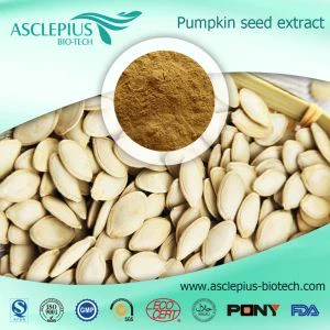 Vízben oldódó tökmag kivonat szállító nagykereskedés